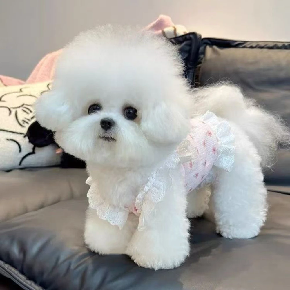 Ropa para perros pequeños y gatos: falda de encaje transpirable - imagen 4