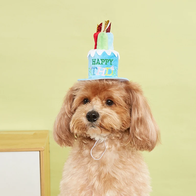Booteely-Sombrero para perro para fiesta de cumpleaños, gorros ajustables para perros, disfraces para perros y gatos, sombrero de vestir para el cuidado de cachorros, suministros para mascotas 