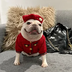 Conjunto abrigo y sombrero invierno para perros – Bulldog Francés y Schnauzer