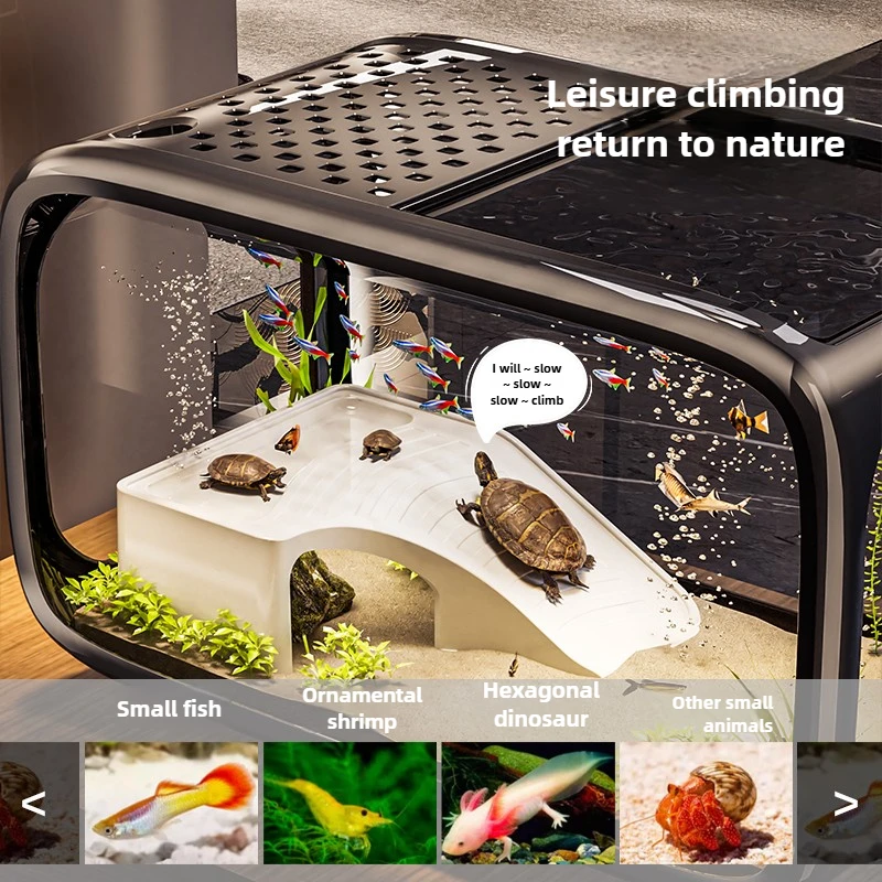 Acuario creativo, pecera, paisaje ecológico, conjunto de filtración integrada, máquina de generación de oxígeno, tanque de tortuga transparente - imagen 5