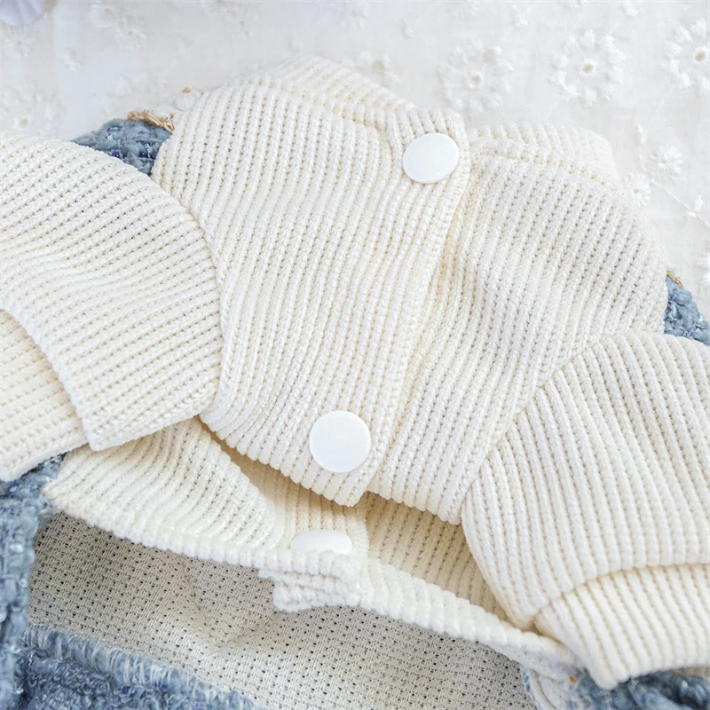 Vestido de perro con pajarita de encaje de lujo, abrigo para perros pequeños, ropa para mascotas de Chihuahua, abrigo de lana azul, chaqueta, ropa de falda para cachorros, Otoño e Invierno - imagen 3