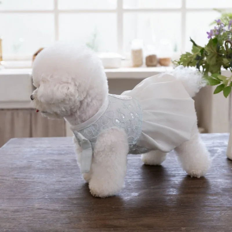 Vestido de primavera con encaje para perros pequeños – falda plisada - imagen 3
