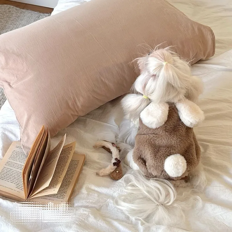 Ropa de invierno de felpa para mascotas, vestido con orejas de conejo para cachorros, ropa de dos piernas, ropa cálida bonita que el oso, abrigo para cachorros, ropa para mascotas - imagen 2