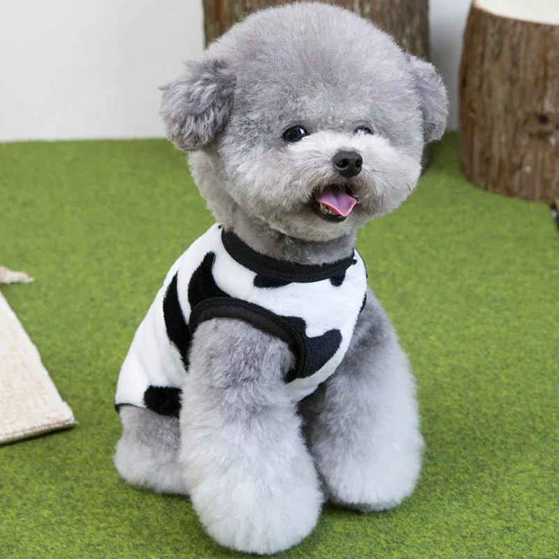 Chaleco de lana invierno para perros Chihuahua y Dachshund - imagen 5