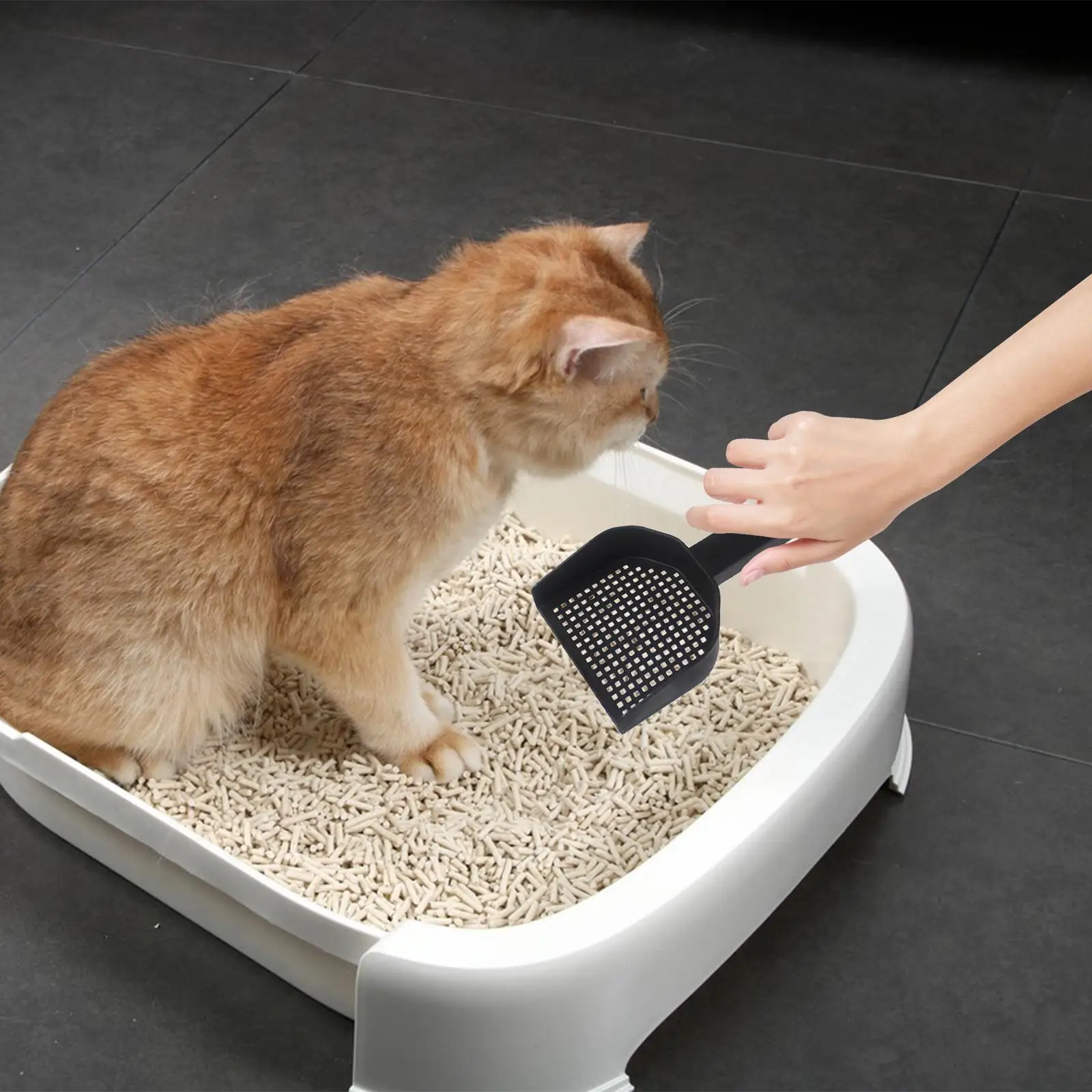 Cat Kitten Waste Lifter Pet Cleaning Supplies Hollow Out Spoon Cat Sand Spade Scooper for