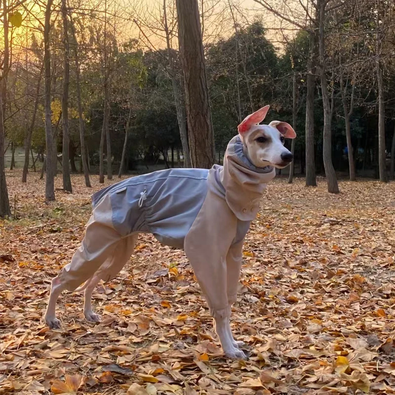 Chaqueta intercambiable de 4 patas a la moda con línea reflectante para galgo italiano, impermeable, cálida, resistente al viento, ropa Whipbit