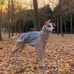 Chaqueta reflectante impermeable para galgo italiano – abrigo 4 patas
