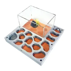 Formiguera 3D con humidificador para criar hormigas como mascotas