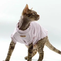 Chaleco para gatos Sphynx y Devon Rex - Transpirable y protector para primavera