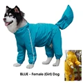 blue for girl dog
