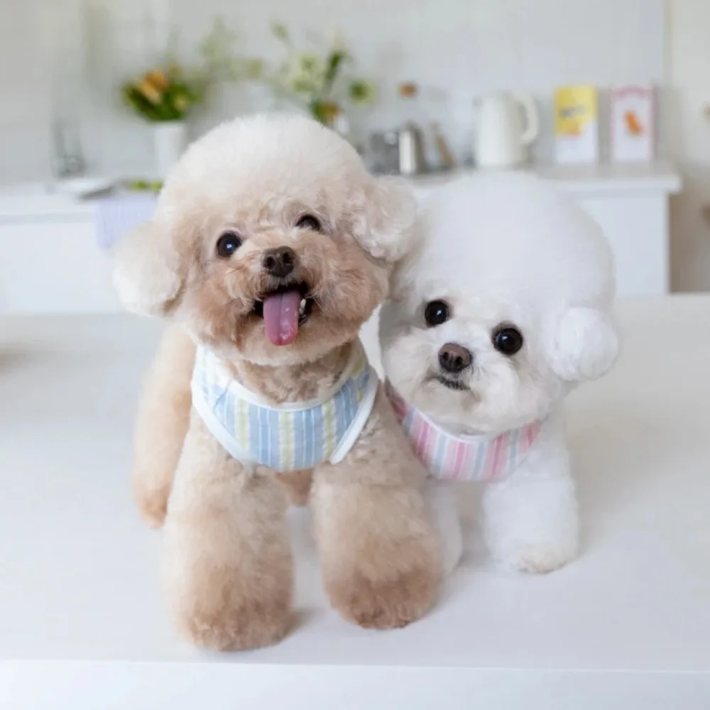 Chaleco a rayas de primavera para mascotas, sensación fresca, se puede poner en paquetes de hielo, chaleco para exteriores para mascotas, ropa para cachorros de peluche para perros pequeños - imagen 2