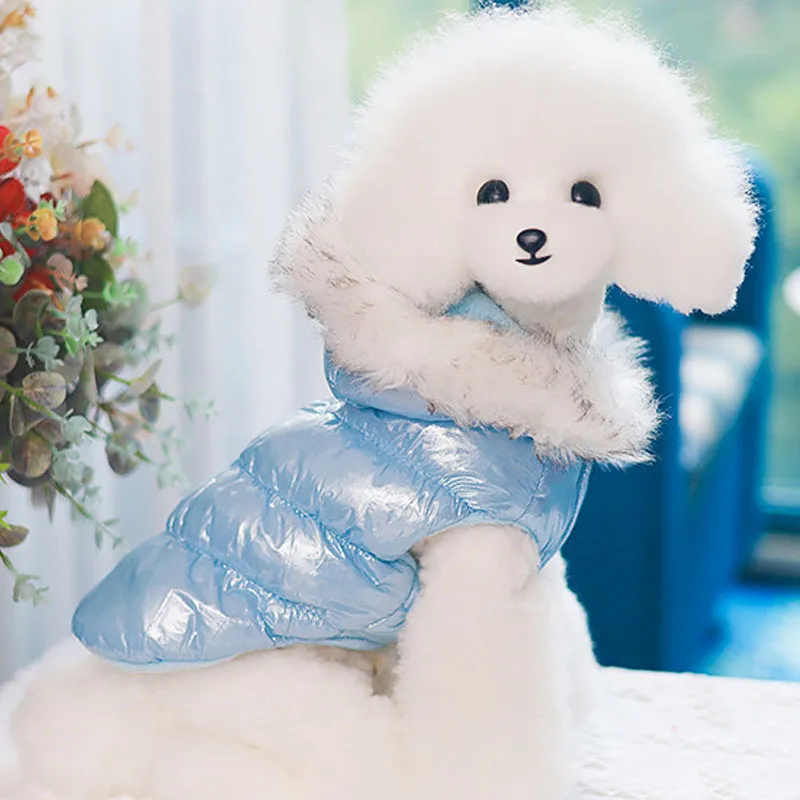 Ropa de lujo para perros, disfraz sin mangas de invierno, chaleco con capucha, chaqueta de plumón para perros pequeños, abrigo para cachorros, Chihuahua, perro salchicha, XS-XXL - imagen 3