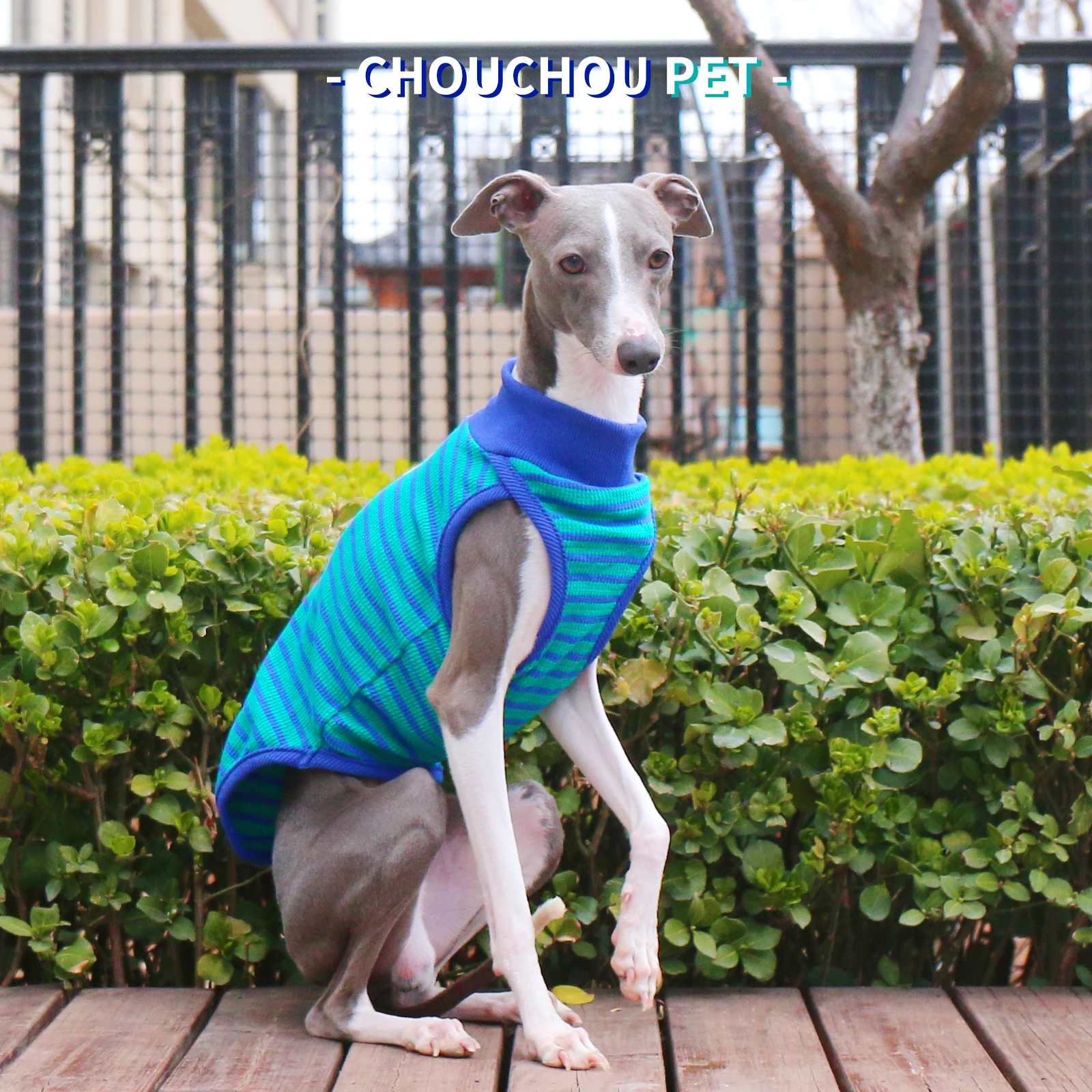 Camiseta deportiva de algodón para perros en primavera, chaleco elástico suave a rayas para levriero italiano, ropa de descanso de verano para Whippet