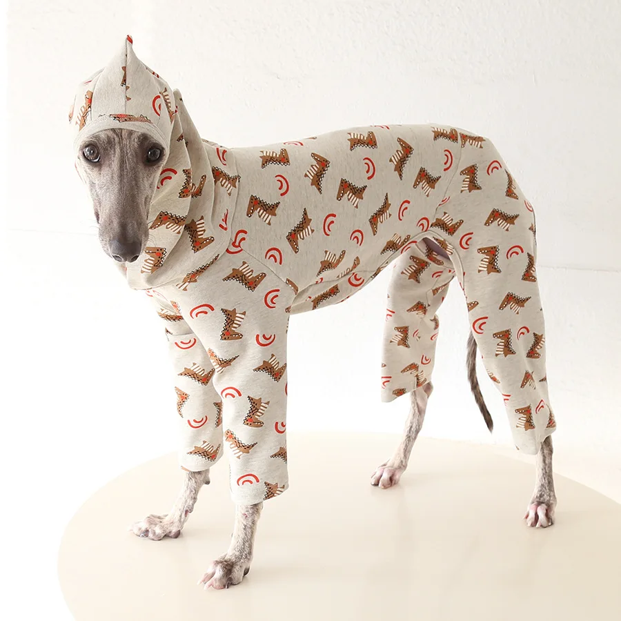 Pijama dinosaurios mascota 5