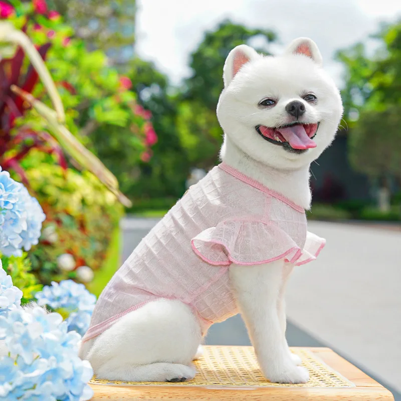 Chaleco refrigerante perro Chihuahua Bichón – Estampado veraniego - imagen 4
