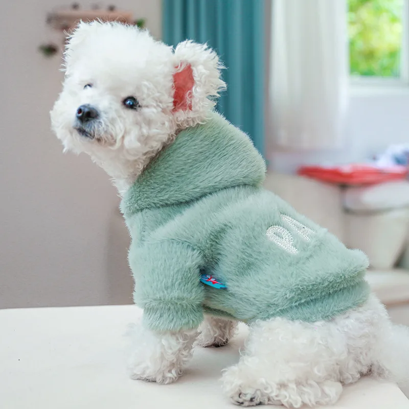 Ropa de peluche para gato mascota, otoño e invierno, marioneta Garfield, suéter de dos patas con letras de gato azul jengibre engrosado - imagen 4