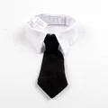 tie