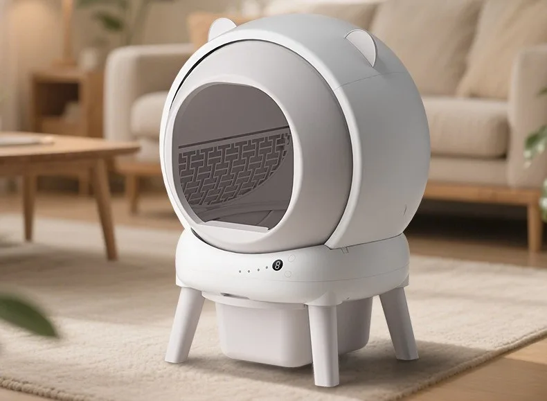 WeChat image _20250729132848