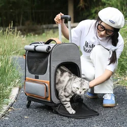 Transportín con ruedas para gatos – Bolsa de viaje transpirable