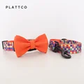Bow Tie Collar Leash