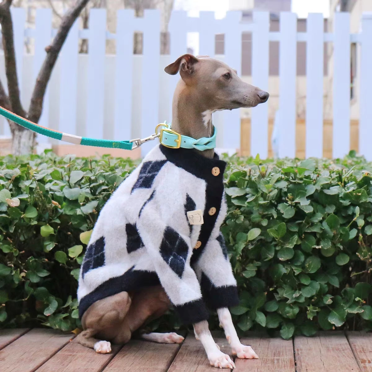 Suéter cálido de otoño para galgo italiano Whippet, abrigo de invierno de manga larga con botones para perros Terrier, chaqueta gruesa en primavera - imagen 4