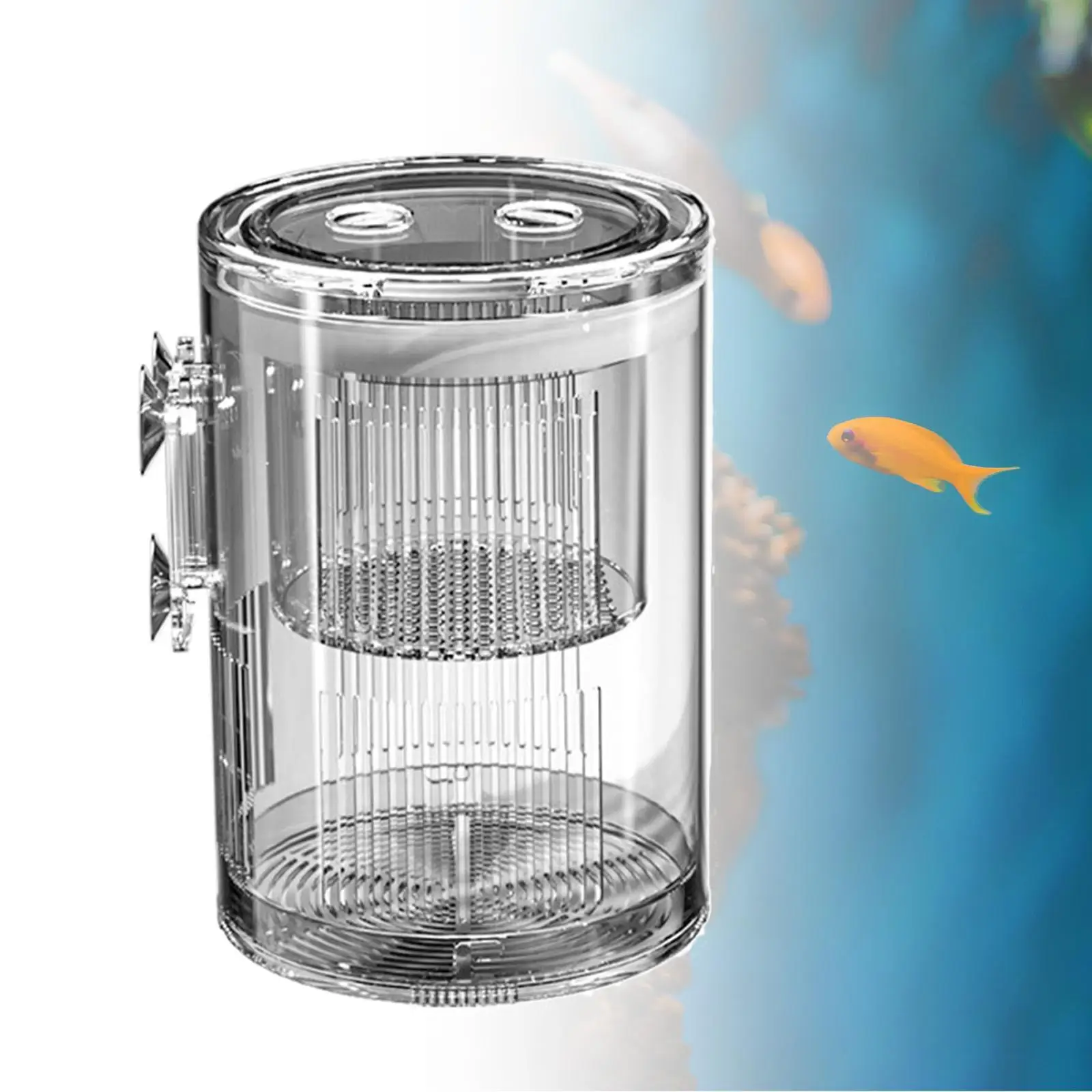 Hatchery Incubator Tank Sturdy Clear Fish Isolation Box for Baby Fishes