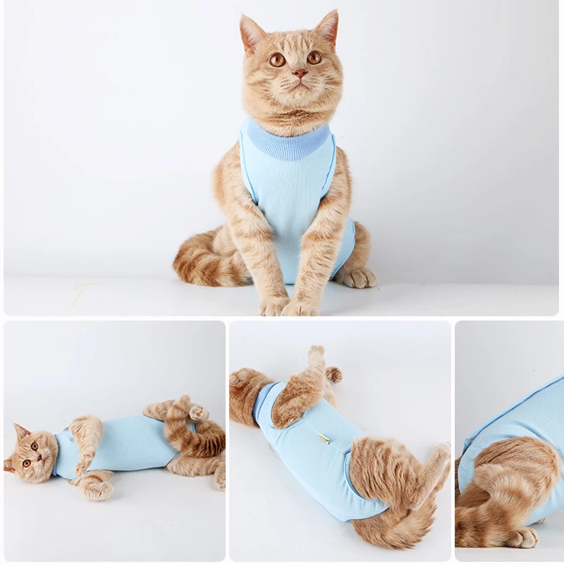 Traje de recuperación para gatos, para heridas abdominales o enfermedades de la piel, alternativa con cuello electrónico, ropa para después de la cirugía, mono, ropa para gatos - imagen 4