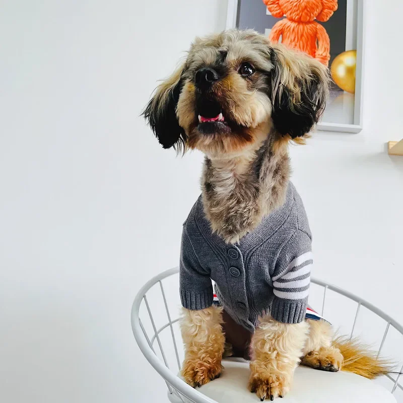 Suéter de moda para mascotas, perro, gato, peluche, gradiente plateado, cárdigan TB, ropa, suministros para perros - imagen 2