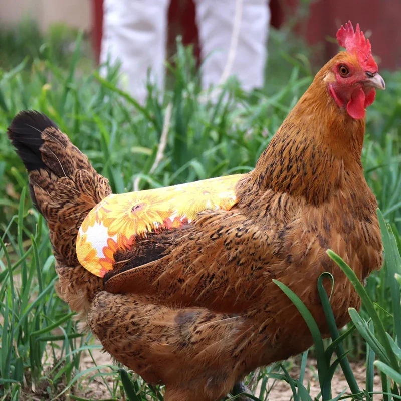 Delantal de gallina ajustable, sillín de gallina de doble capa, soporte de protección de plumas de aves de corral, vestido de gallina, suministros para animales de granja, ropa para mascotas - imagen 2