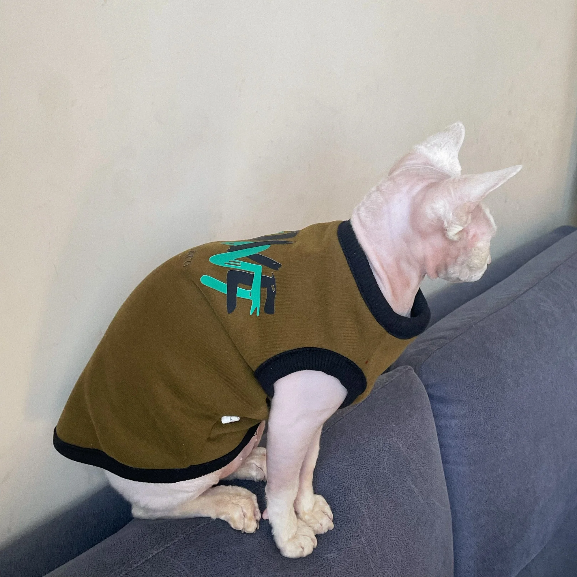 Winter Warm Fleece Sweatshirt for Hairless Cat Autumn Soft Short Sleeved Thick Fashion Vest for Kittens Costumes for Sphynx Cat - imagen 4