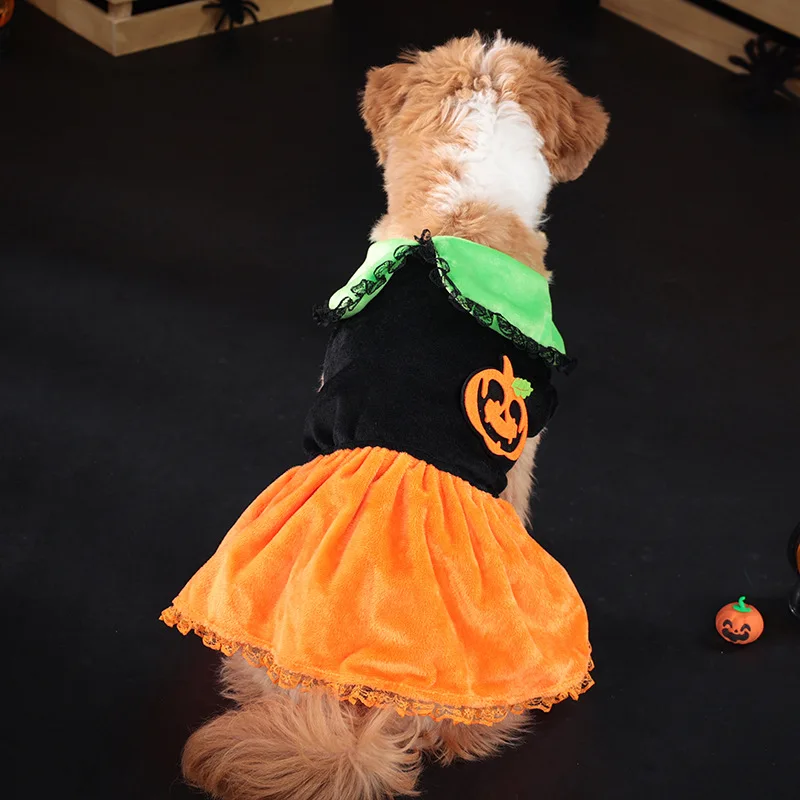 Disfraz de Halloween para mascotas, disfraz de perro con alas, traje de fiesta, ropa bonita de Festival para perros - imagen 4