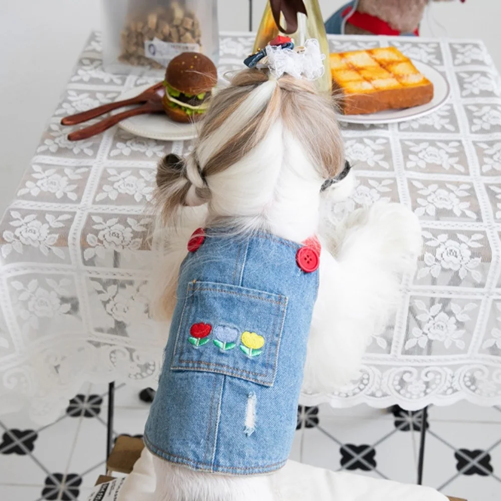 Falda vaquera bordada para mascotas, ropa de felpa para gatos y perros, abrigo de oso de peluche, sombrero, ropa de Navidad para perros, vestido para perros, Otoño e Invierno - imagen 2