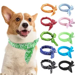 Collar refrescante para perros y gatos – Accesorio verano