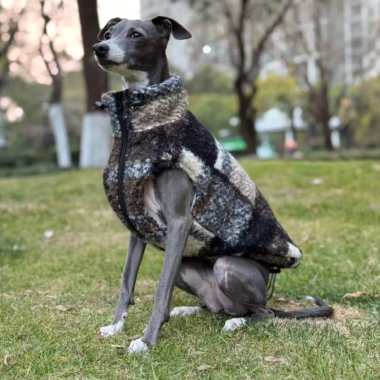 Chaqueta polar de doble cara para galgo italiano y whippet, cálida - imagen 3
