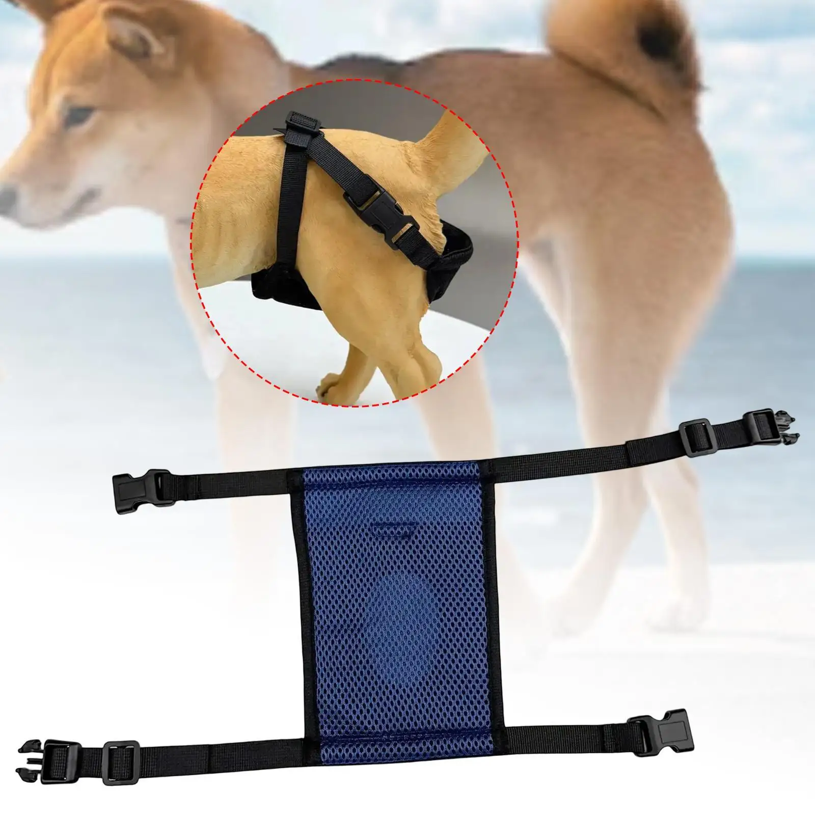 Pet Female Dog Diaper Dog Menstrual Period Pants,Sturdy,Pet Supplies Doggy Diaper Comfortable Breathable Reusable Underwear