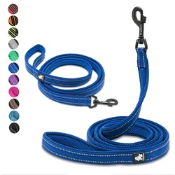 Correa de nylon para perros con asa acolchada - entrenamiento y paseos