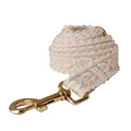 Gold Leash