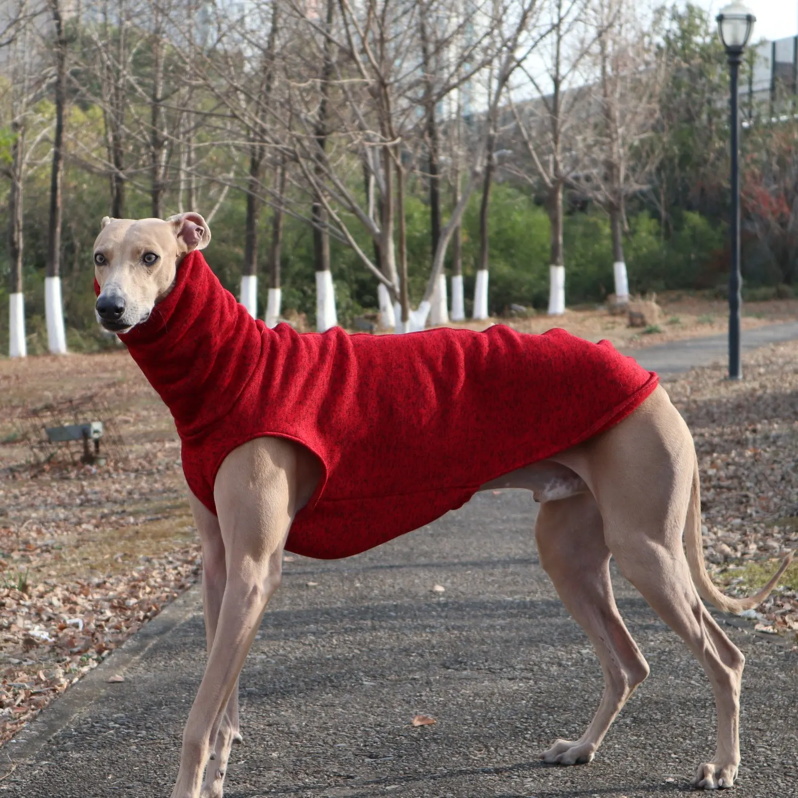 Chaleco polar rojo sin mangas para perros Whippet y Galgo Español - imagen 5