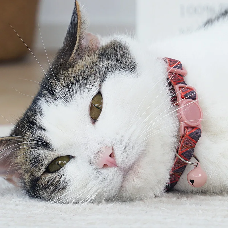 Collar para gatos con campana, Collar de seguridad ajustable para mascotas, Collar con anillo de campana colorido para gatos, gatitos, cachorros, accesorios para perros pequeños - imagen 3