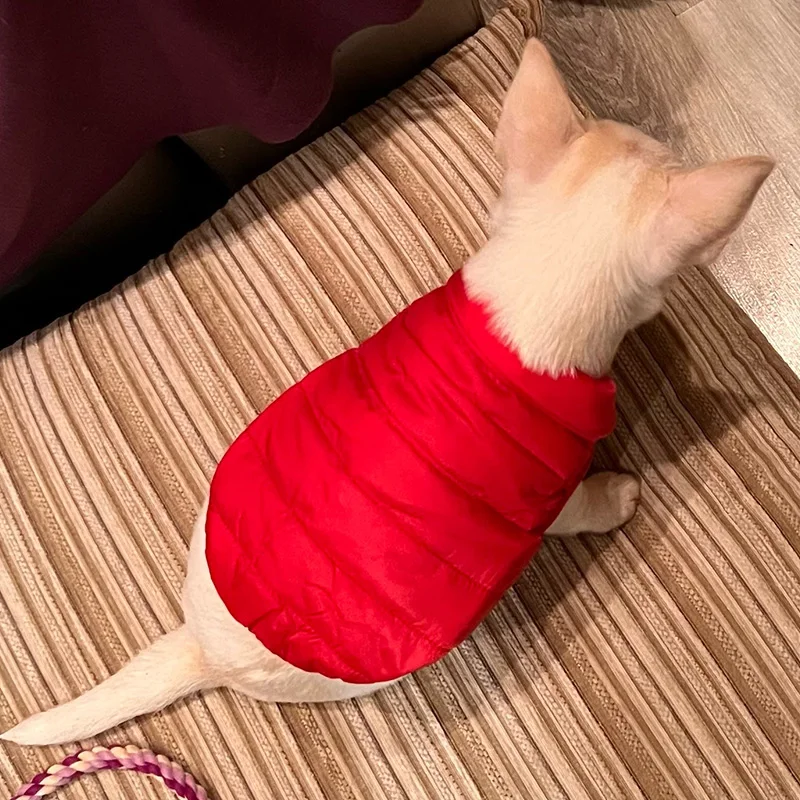 Ropa cálida de invierno para perros, chaqueta para cachorros, abrigos, Chihuahua, trajes de Bulldog Francés, chaleco, ropa Pug shih tzu, suministros para perros - imagen 5