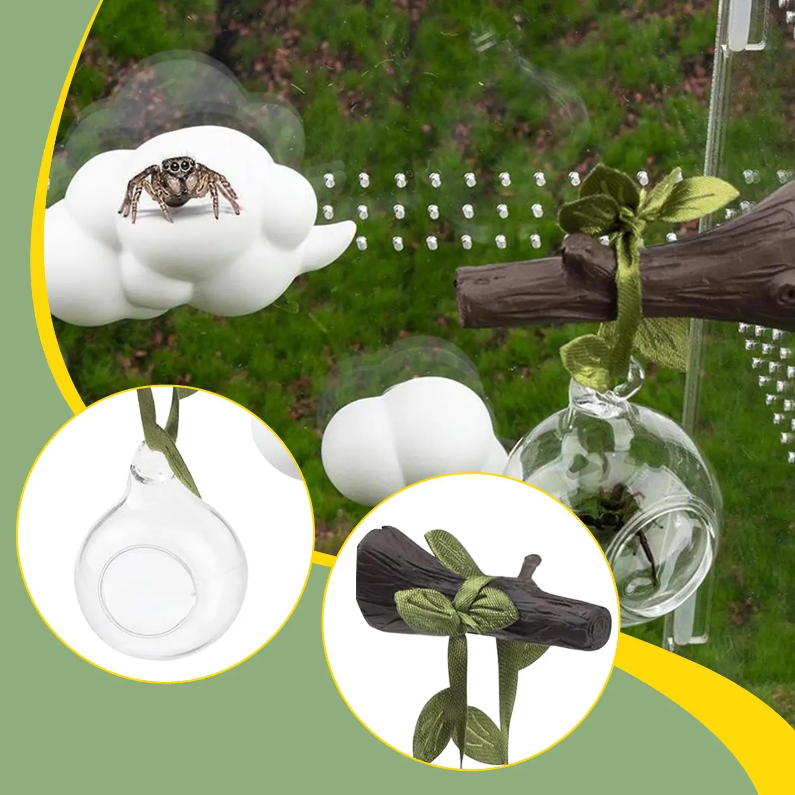 Jumping Spider Hideaway Terrarium Ornaments for Climbing Exploration Resting