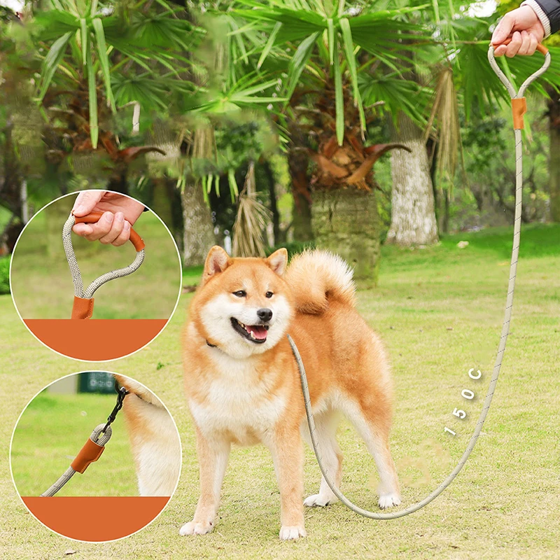 Correa reflectante de nailon para mascotas, cadena P para perros pequeños, medianos y grandes, a prueba de explosiones, suministro para mascotas - imagen 2