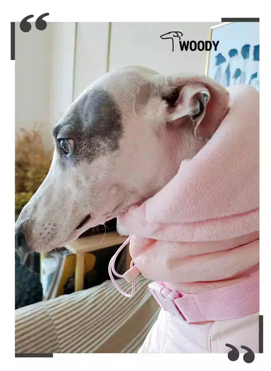 Ropa rosa de Whippet para niña, abrigo acolchado con cuello de tortuga para perro, Chaqueta de algodón ajustable cálida para galgo italiano, invierno - imagen 3