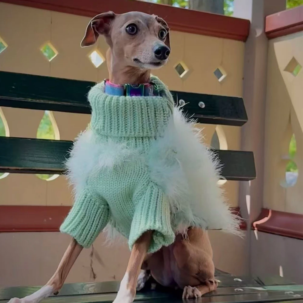 Suéter de felpa verde para Galgo Italiano y Whippet, cálido invierno - imagen 3