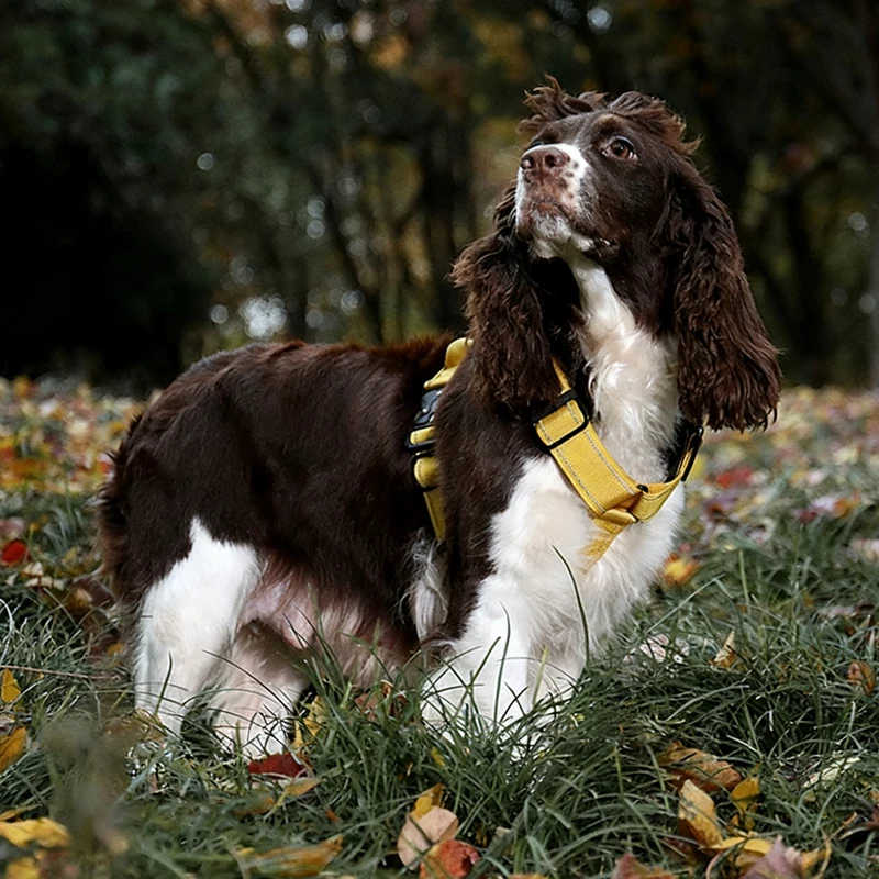 Arnés antitirones en Y acolchado para perros – Ajustable con asa - imagen 4