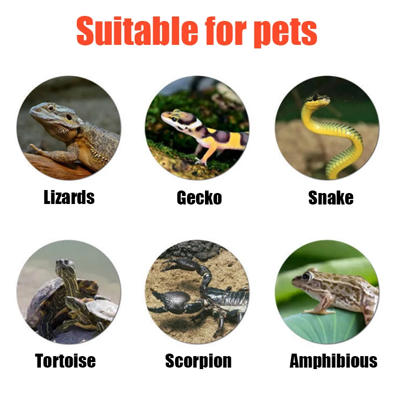 Almohadilla calefactora para reptiles, protector de palacio de escorpión y araña, mascota, serpiente, lagarto, erizo, hámster, almohadilla aislante para gatear, 7/14W - imagen 5