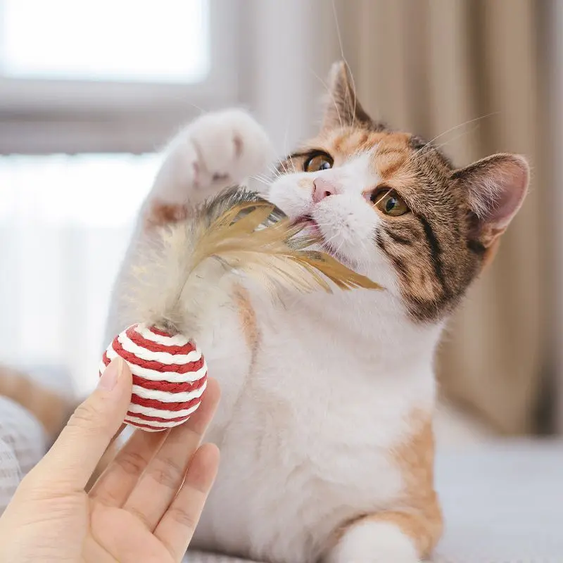Juguetes interactivos de plumas y sisal para gatos – Sin aburrimiento - imagen 5