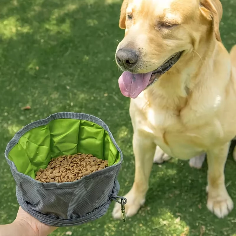 Cuenco portátil para alimentador de comida y agua para mascotas, práctico agua de alimentación plegable para perros, cachorros y gatos, cuenco plegable para exteriores, suministros para mascotas - imagen 3