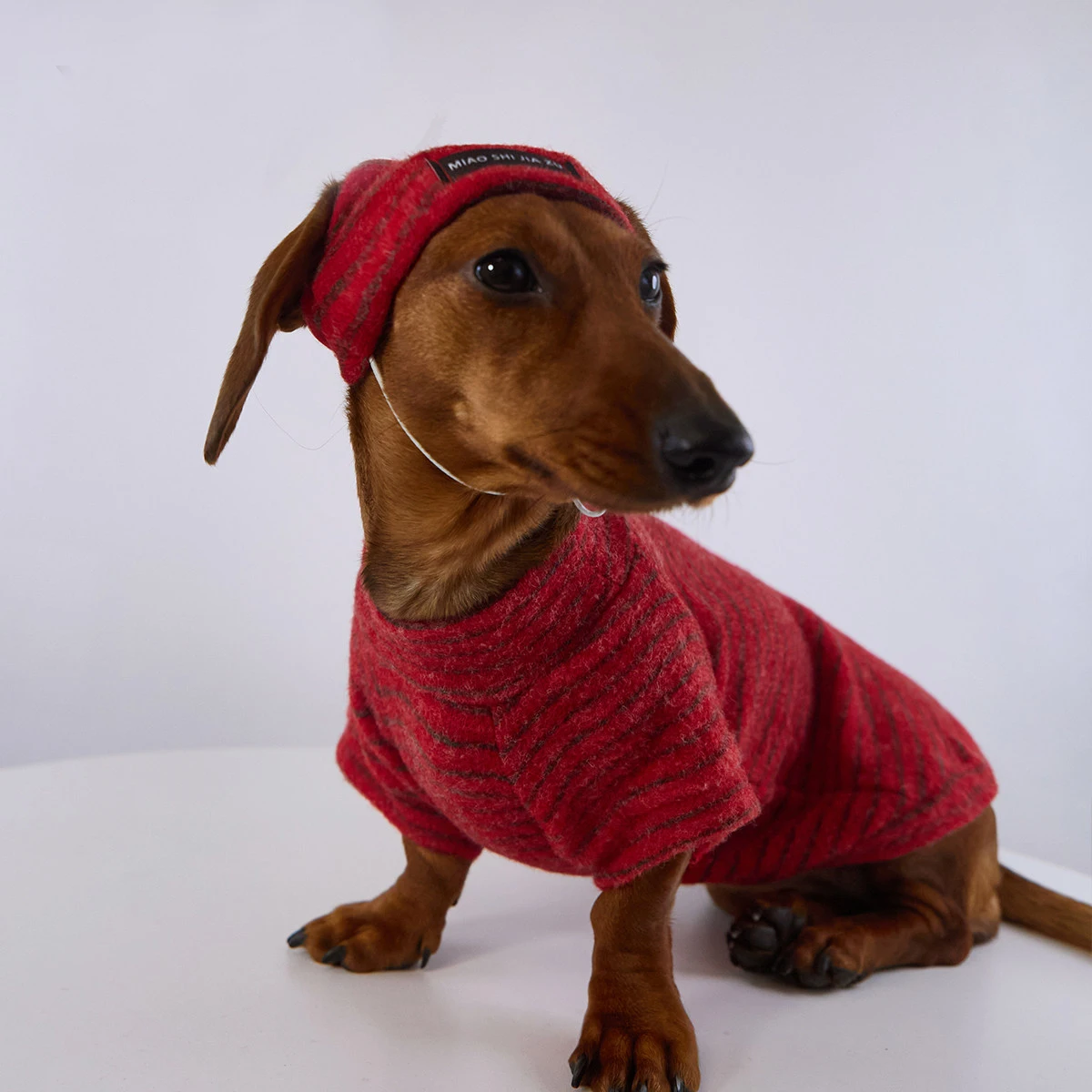 Abriguito de lana para perro salchicha – Pijama invierno con gorro - imagen 4