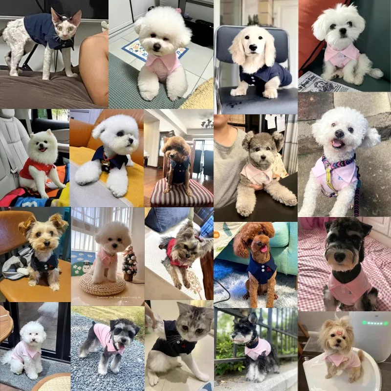 Polo para perros a la moda, ropa de verano para cachorros, camisa bonita para gatos, sudadera sólida para perros, trajes transpirables para mascotas, ropa para perros Chihuahua - imagen 2